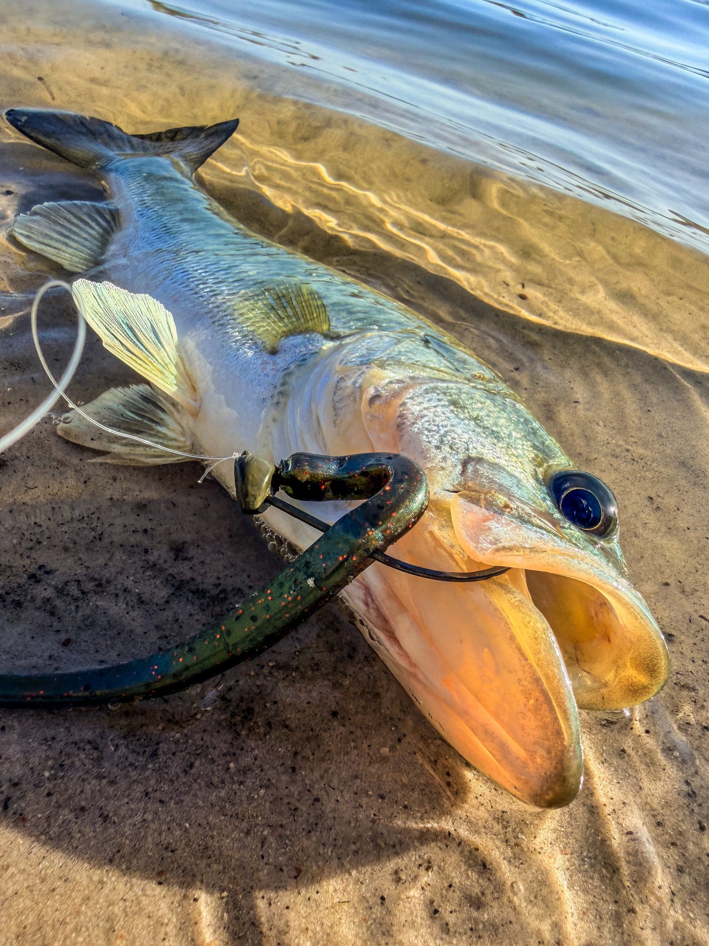 Side Hustle - Watermelon Red Pro